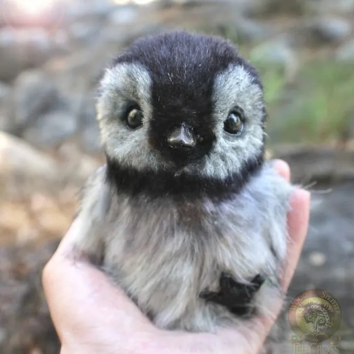 116 Incredibly Cute Animal Sculptures Made By Lee Cross