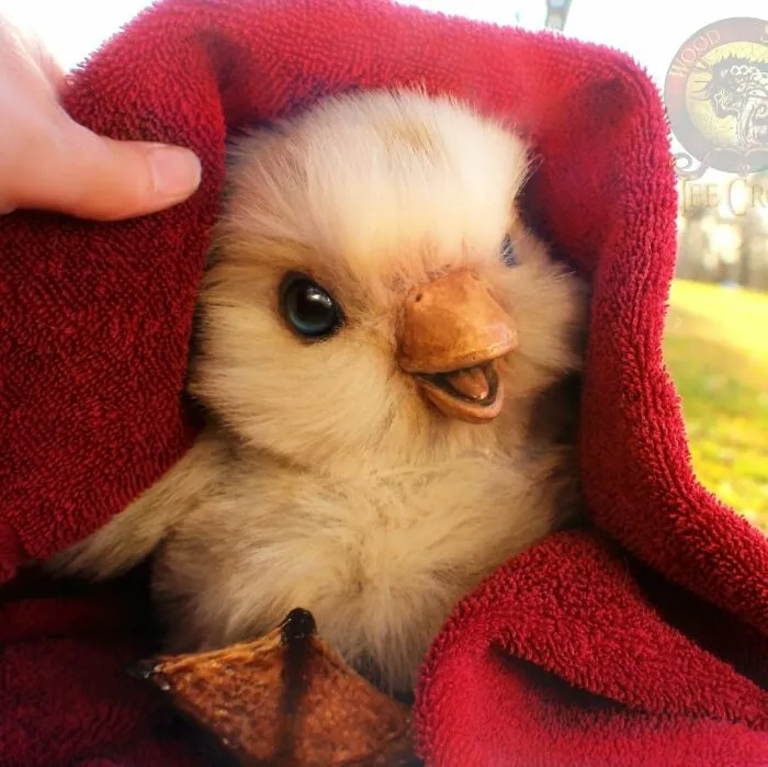 116 Incredibly Cute Animal Sculptures Made By Lee Cross