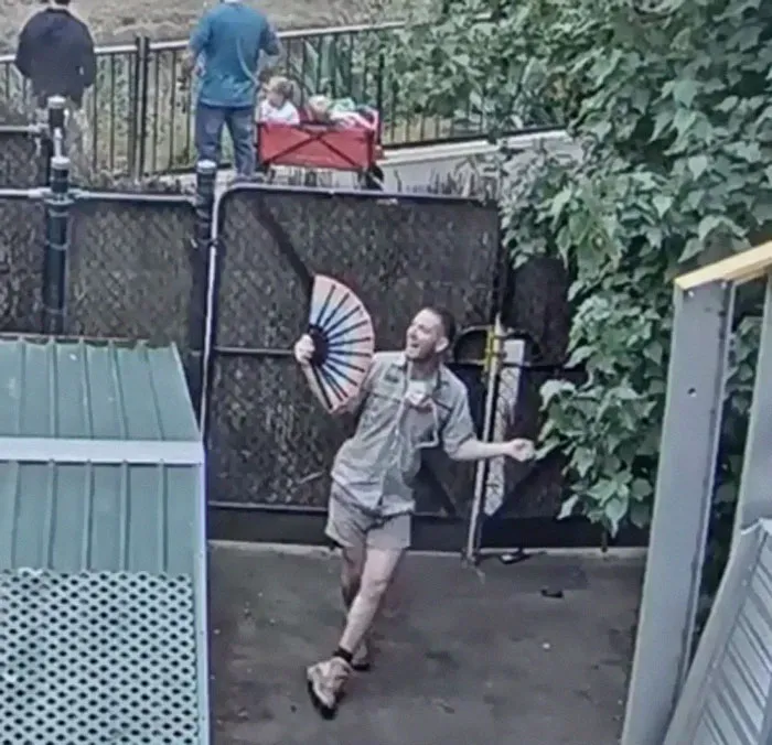Absolute Legend On Melbourne Zoo Livestream