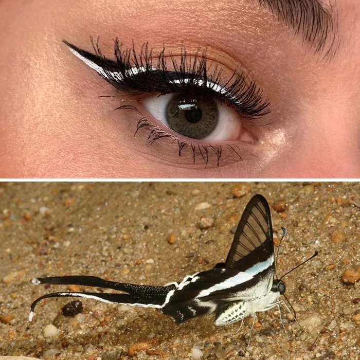 Artist Shows The Beauty Of Insects With Her 30 Matching Eye Makeup Looks