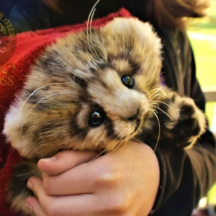 116 Incredibly Cute Animal Sculptures Made By Lee Cross