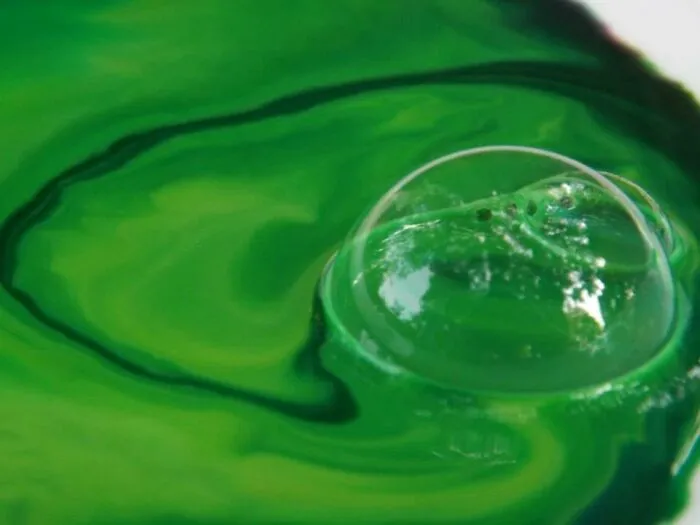 My Milk/Dish Soap/Food Coloring Experiment