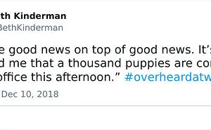 35 Times Twitter Users Shook Their Heads At The Things They Overheard At Work