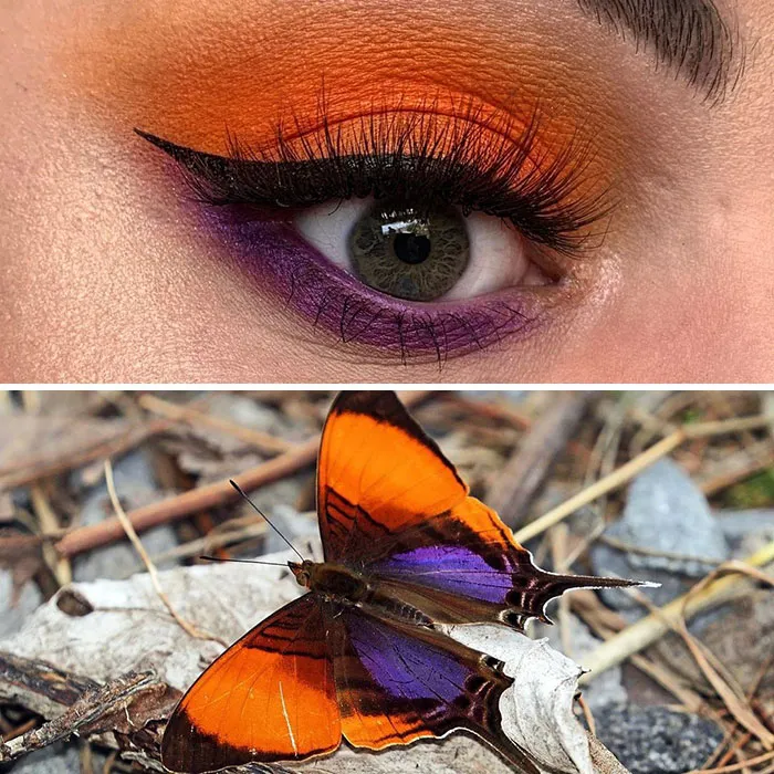 Artist Shows The Beauty Of Insects With Her 30 Matching Eye Makeup Looks