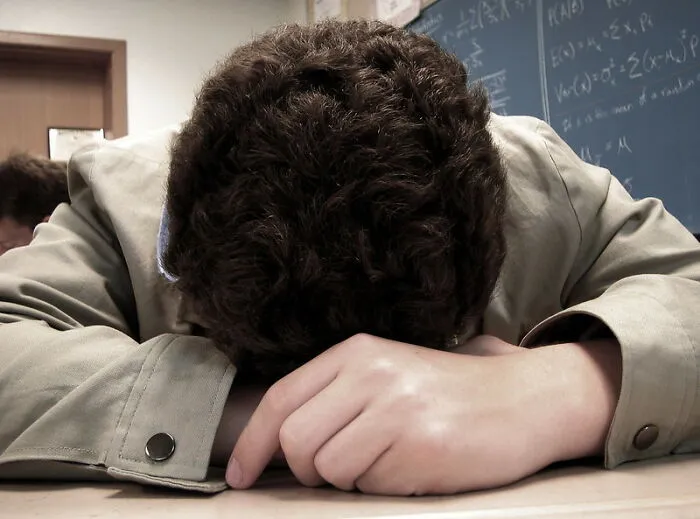 People Are Sharing The Most Badass Responses From Students (30 Stories)