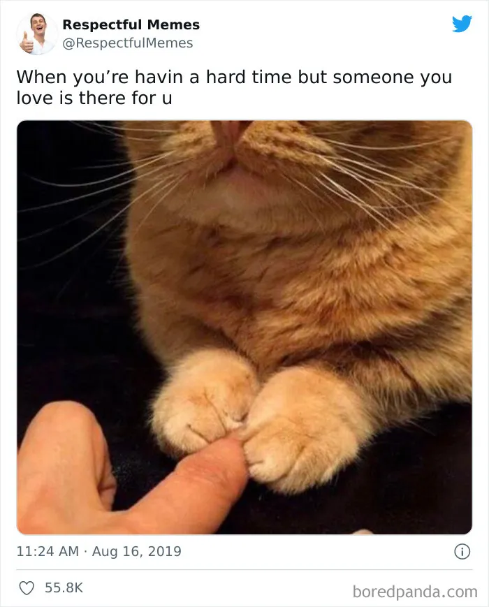 This Twitter Profile Collects Only The Most Respectful Memes, Here Are 50 Of The Best