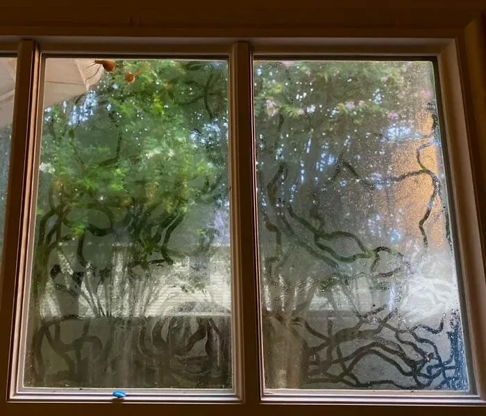 My Artistic Snail  Is Back!  And He Brought A Friend To Help Out!