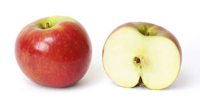 30 ‘Today I Learned’ Facts That Show It’s Never Too Late To Learn (New Pics)