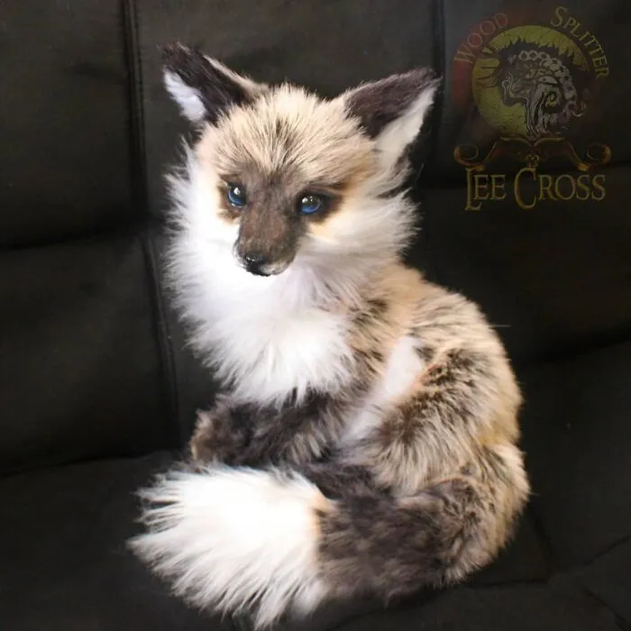 116 Incredibly Cute Animal Sculptures Made By Lee Cross
