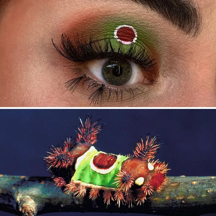 Esta artista mostró la belleza de los insectos con sus 20 estilos de maquillaje de ojos a juego