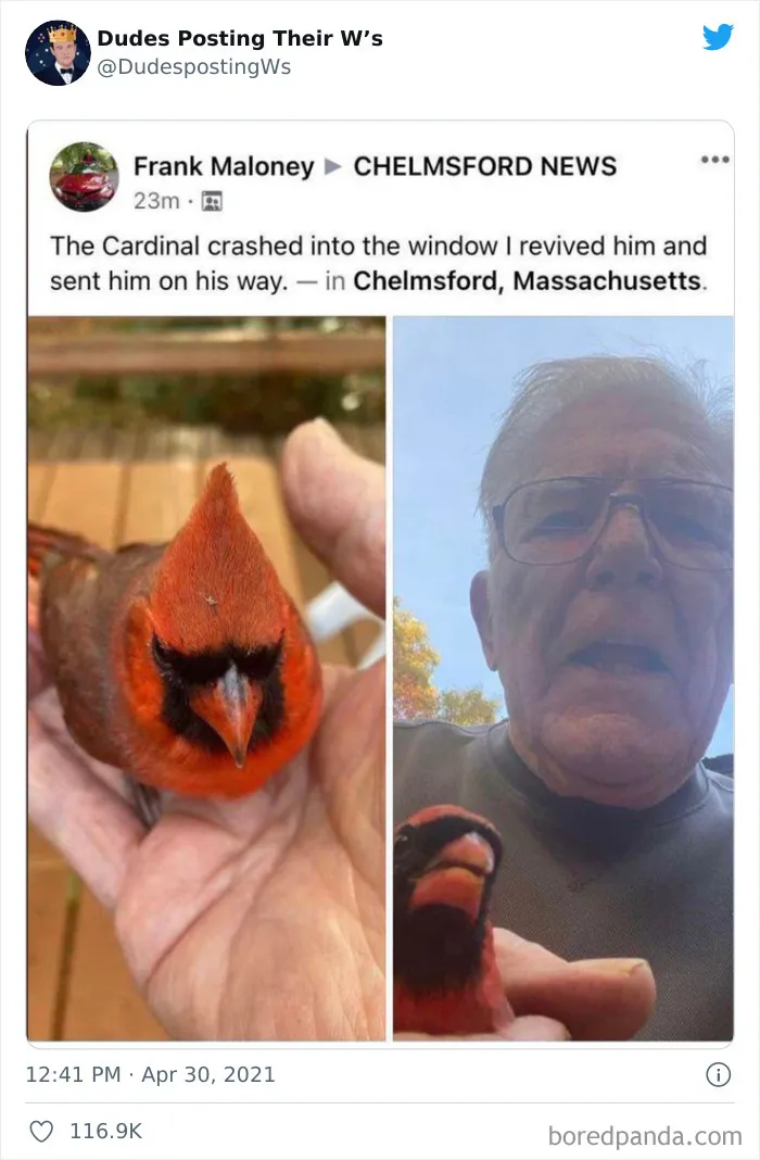 50 Of The Most Wholesome, Honest, And Hilarious Wins Being Celebrated By Men, As Shared In This Online Group