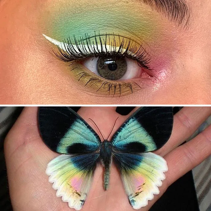 Artist Shows The Beauty Of Insects With Her 30 Matching Eye Makeup Looks