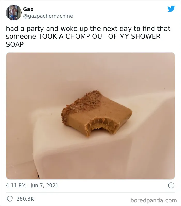 Someone Tried Eating My Soap