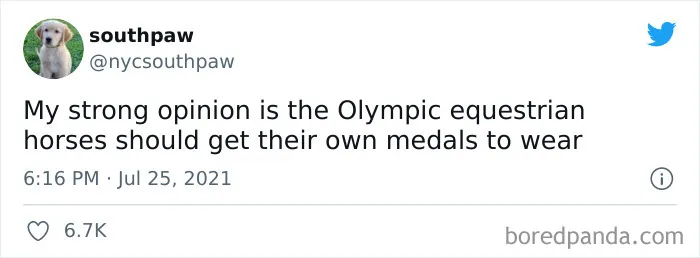 29 Hilarious Memes That Perfectly Sum Up The 2020 Tokyo Olympic Games (New Pics)