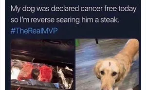 50 Of The Most Wholesome, Honest, And Hilarious Wins Being Celebrated By Men, As Shared In This Online Group