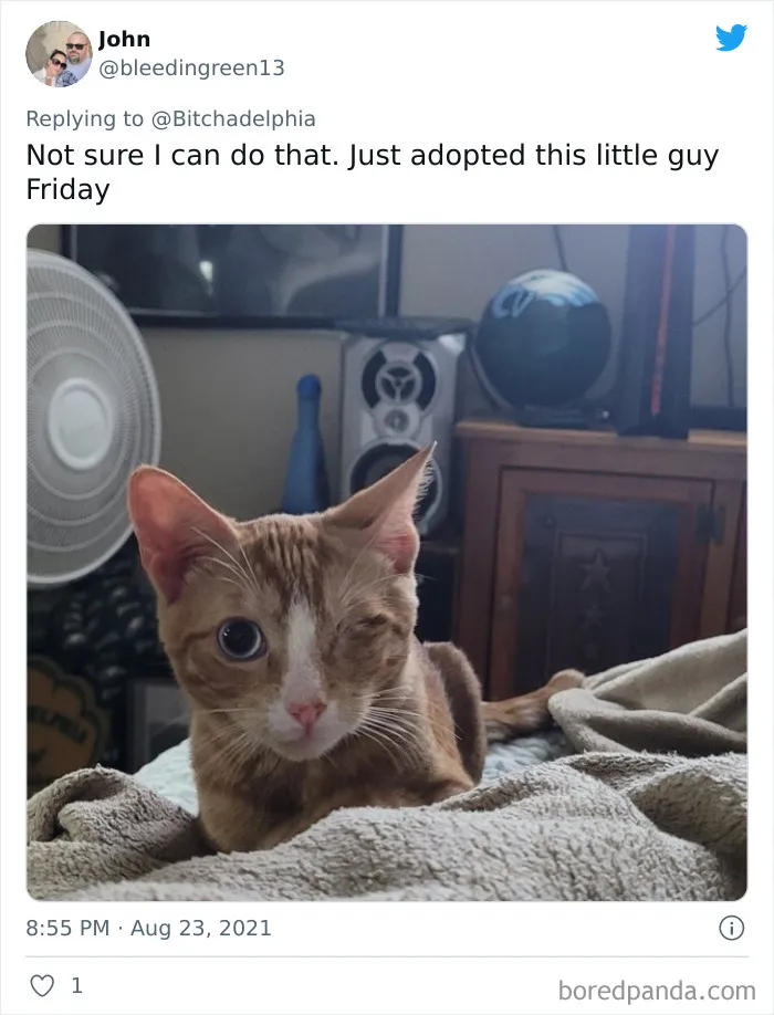 This Little Guy