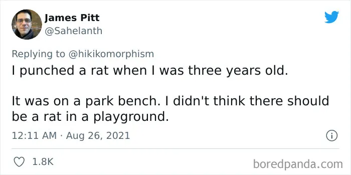 26 People Are Sharing Obscure Facts From Their Lives That Make Others Go "The What?"