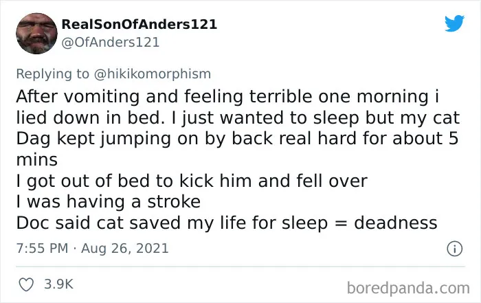 26 People Are Sharing Obscure Facts From Their Lives That Make Others Go "The What?"