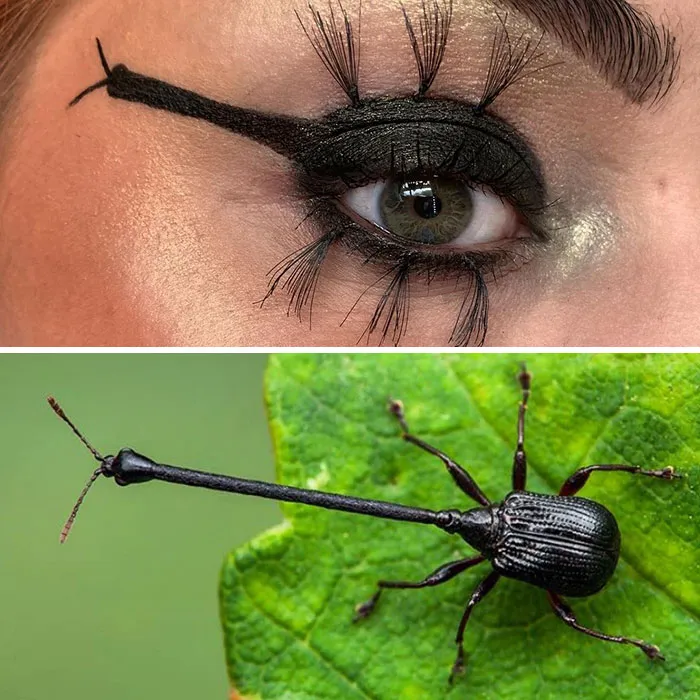 Artist Shows The Beauty Of Insects With Her 30 Matching Eye Makeup Looks