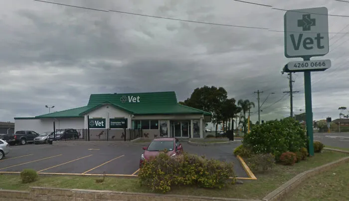 Veterinario en Nsw, Australia
