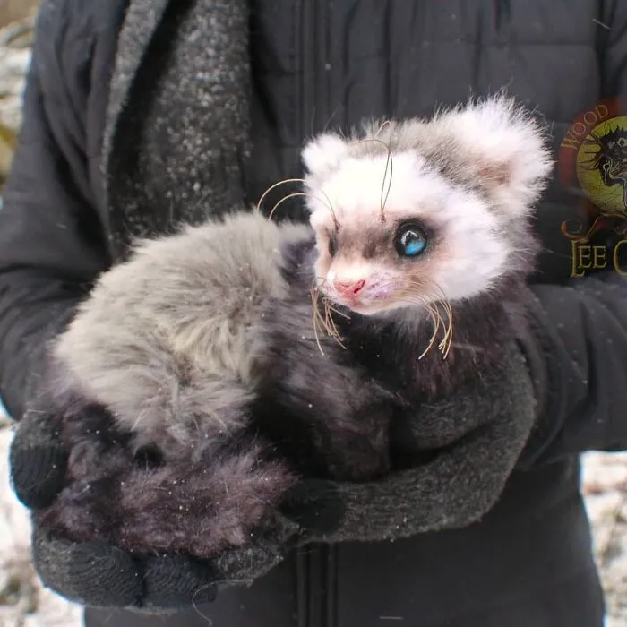 116 Incredibly Cute Animal Sculptures Made By Lee Cross