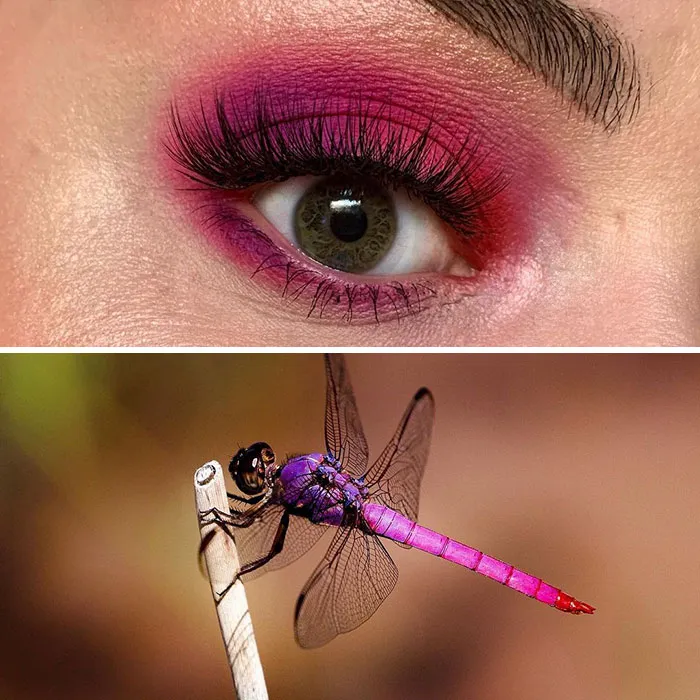 Esta artista mostró la belleza de los insectos con sus 20 estilos de maquillaje de ojos a juego