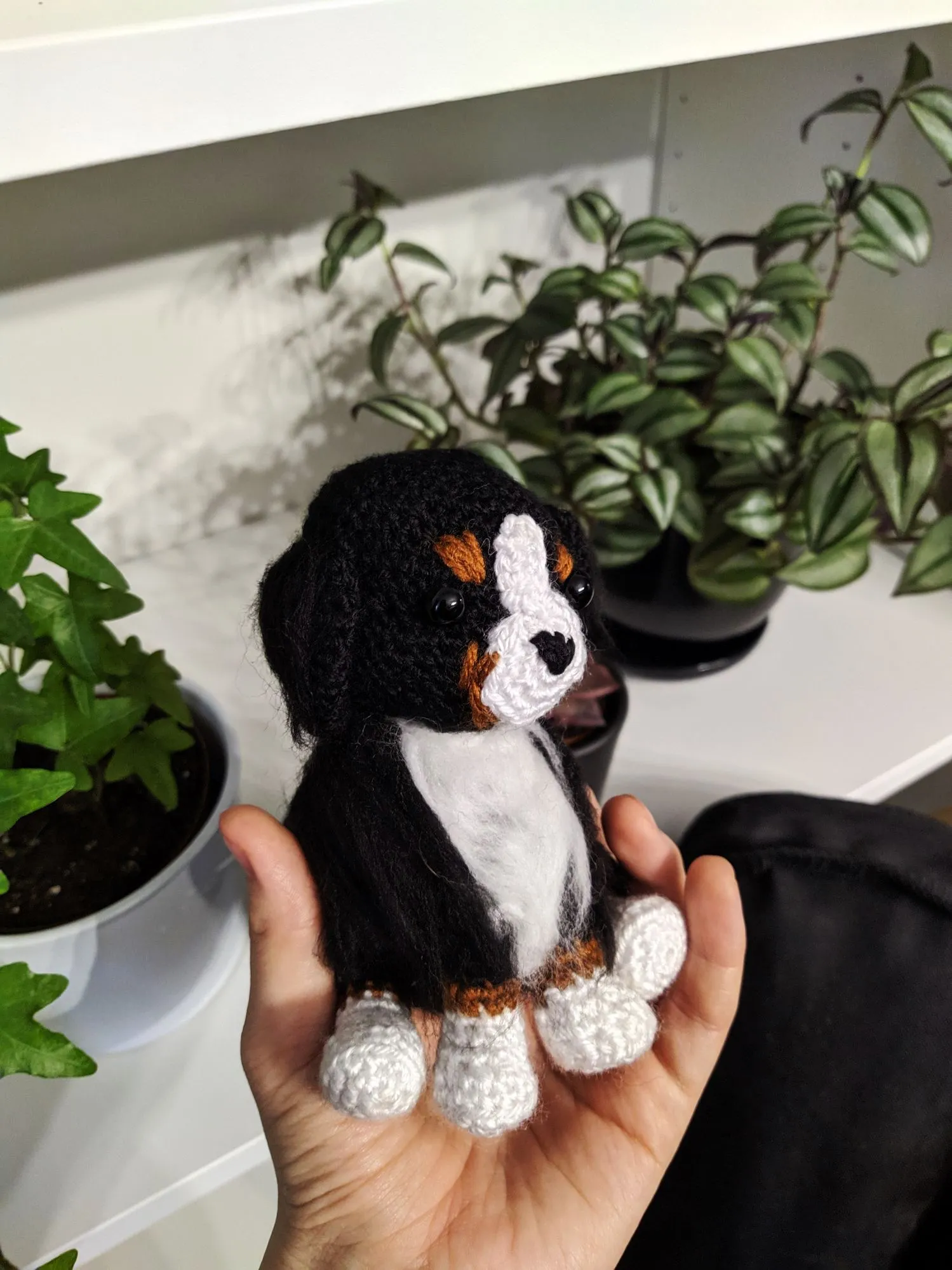 I Made This Tiny Bernese Dog!