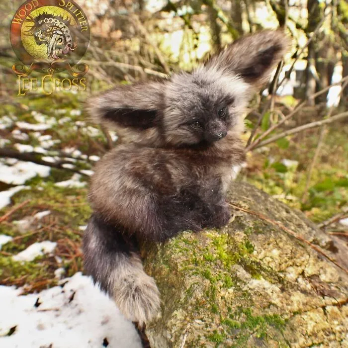 116 Incredibly Cute Animal Sculptures Made By Lee Cross