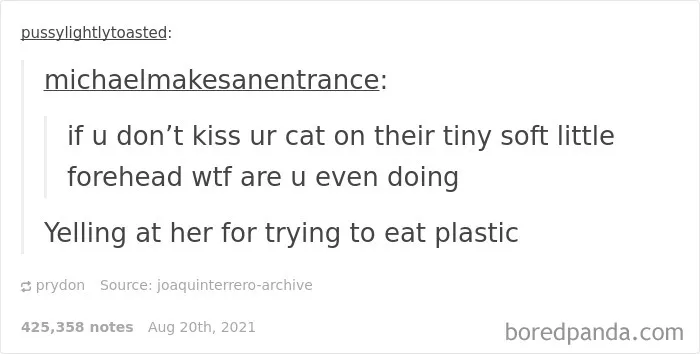 This Online Group Is Sharing The Best Cat Posts, Jokes, And Memes (50 Pics)