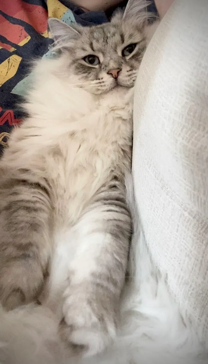Leon The Siberian