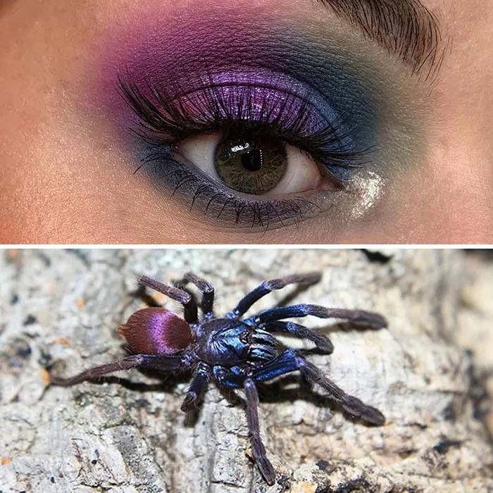 Artist Shows The Beauty Of Insects With Her 30 Matching Eye Makeup Looks