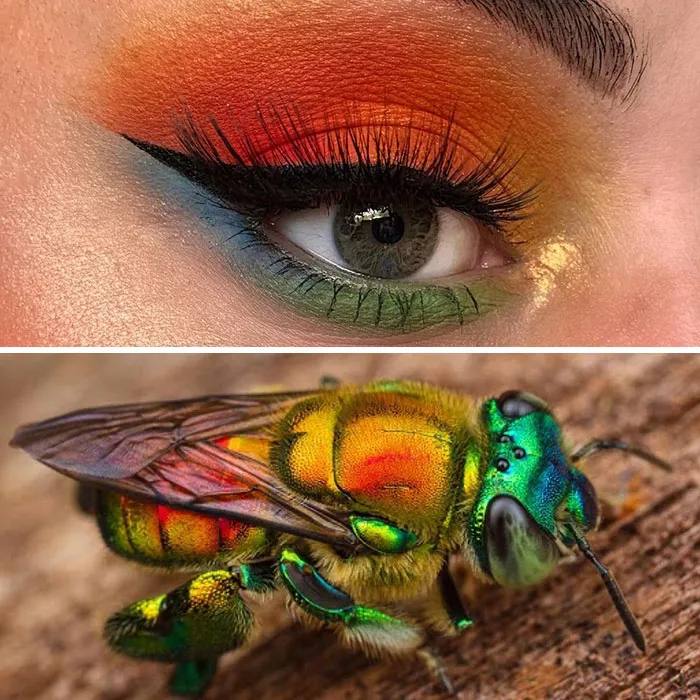 Artist Shows The Beauty Of Insects With Her 30 Matching Eye Makeup Looks