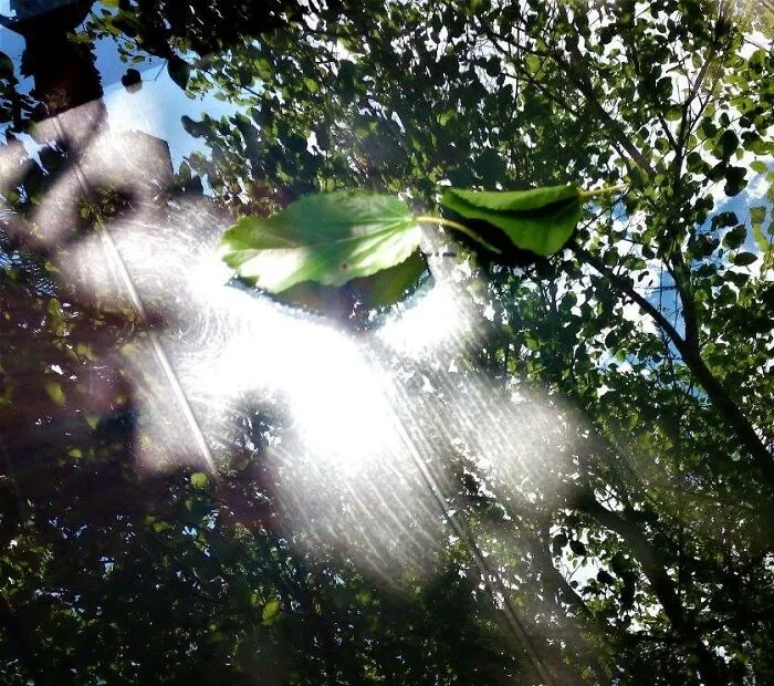 Reflections