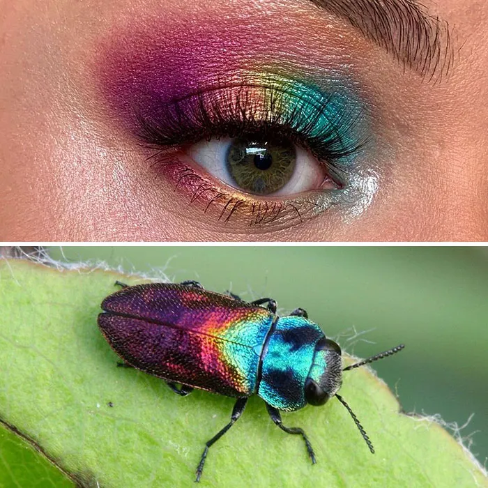 Artist Shows The Beauty Of Insects With Her 30 Matching Eye Makeup Looks