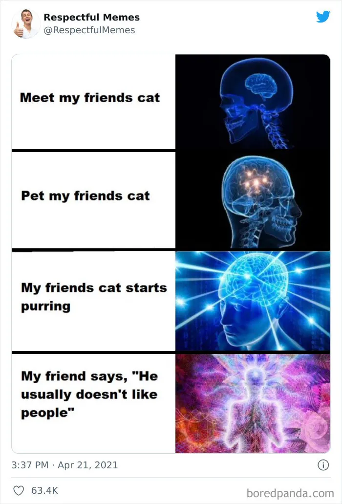 This Twitter Profile Collects Only The Most Respectful Memes, Here Are 50 Of The Best