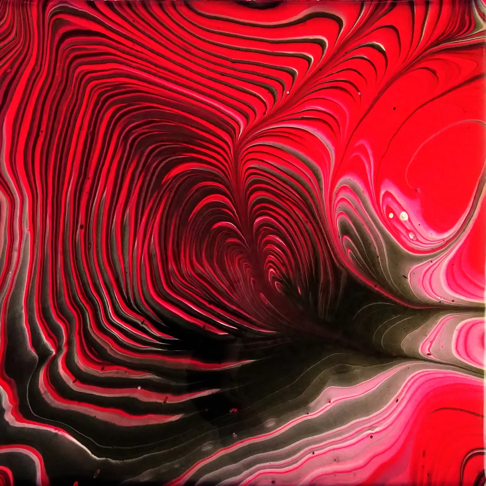 Wreck The Ring ~ Ring Pour Acrylic Painting ~ Fluid Art Technique ~ Fiona Art