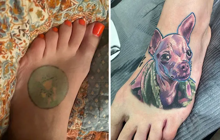 Foot tattoo cover-up displaying a colorful Chihuahua design, showcasing tattoo artist creativity.