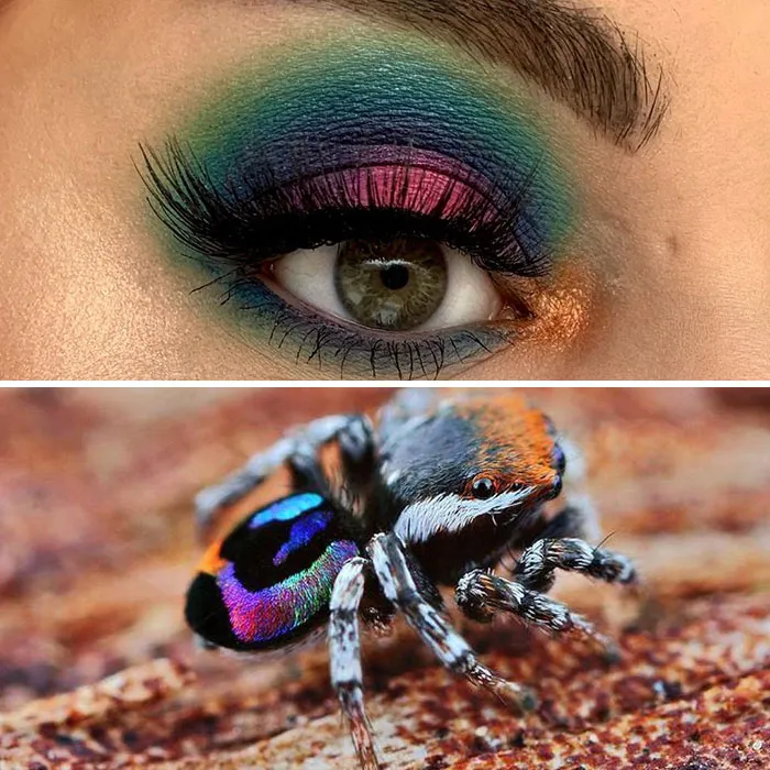 Artist Shows The Beauty Of Insects With Her 30 Matching Eye Makeup Looks
