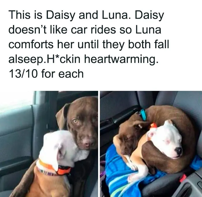 This Online Group Has People Sharing Only The Most Blessed Pics And It's Like Internet Heaven (50 Pics)