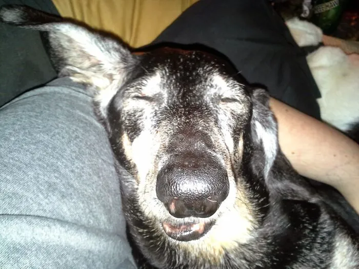 Sound Asleep.