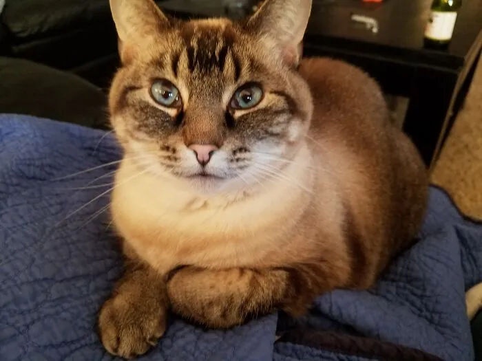 Meet Snickers.