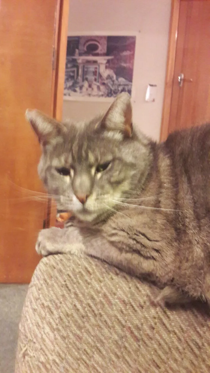 You Woke Me Up For This?!