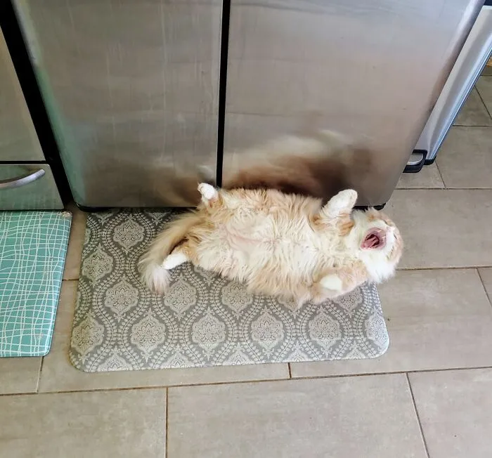 Just Told Him It Was Two More Hours Until Dinner