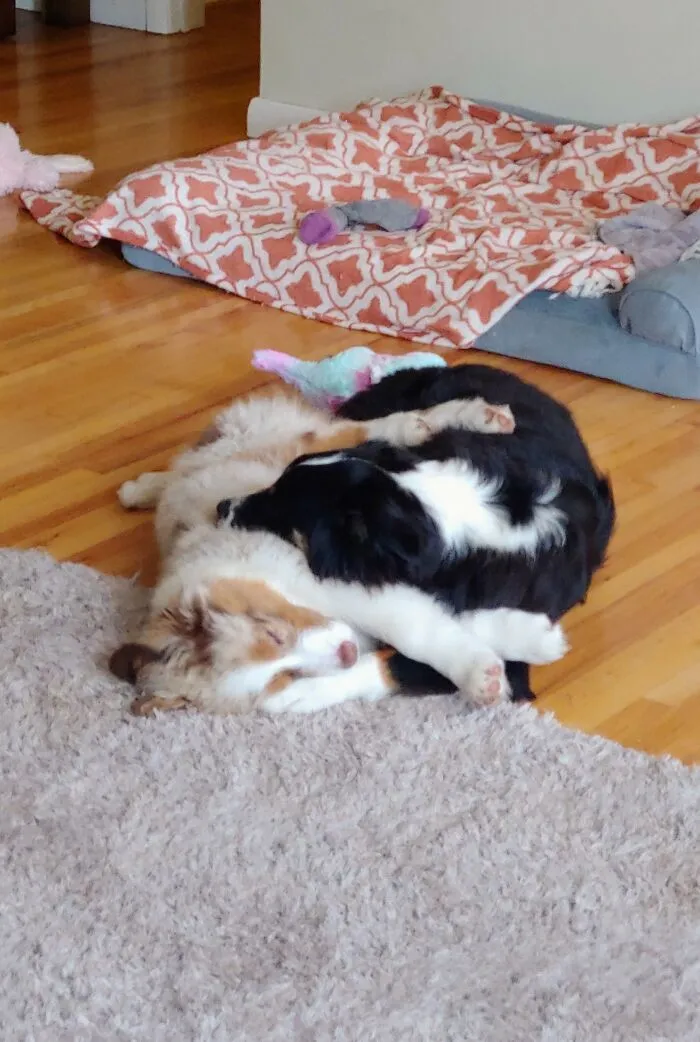 Walter And Edith, Cuddle Buds 4 Life