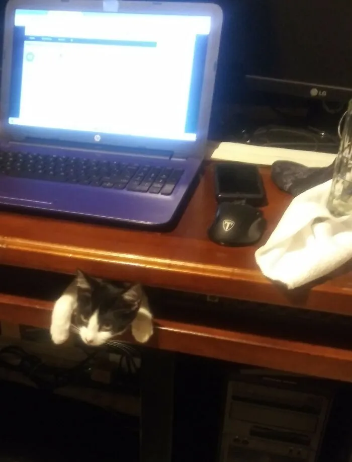Coworker Hogging The Keyboard