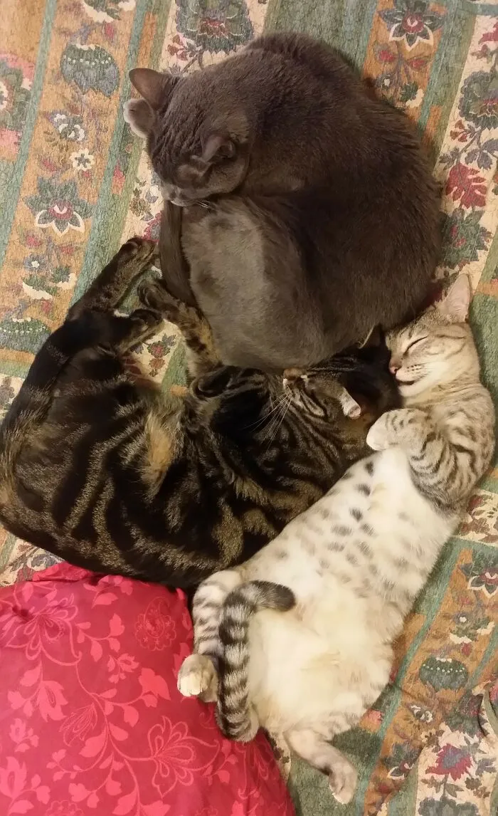 Do Not Disturb... We Are Very Busy
