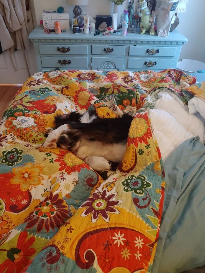 Same, Edith. Same.