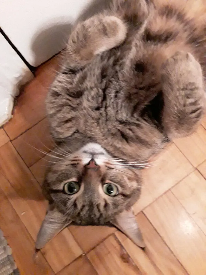Well Hello There!