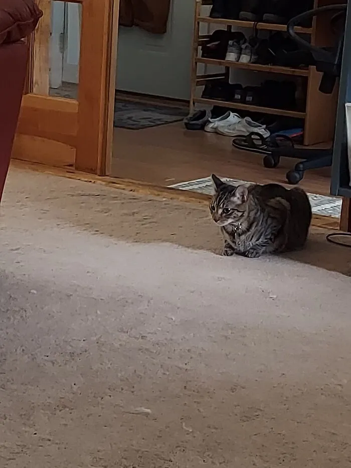 Sage Is A Good Little Loaf