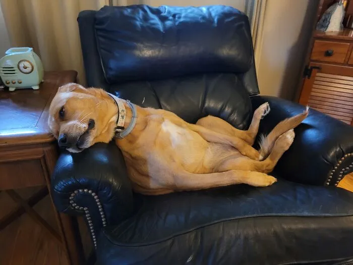 Charlotte The Derp